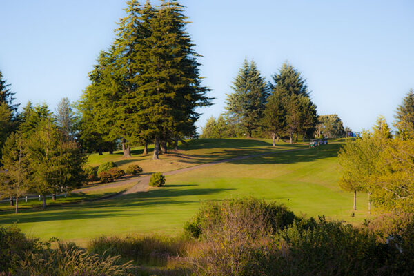Golf_Course_3399