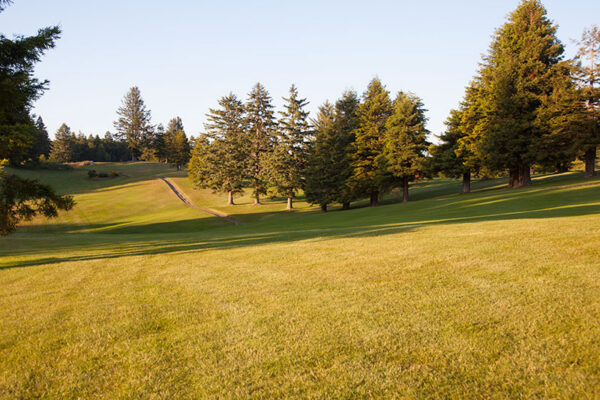 Golf_Course_3523