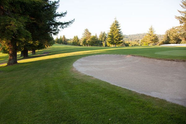 Golf_Course_3559