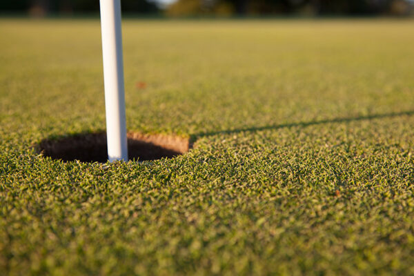 Golf_Course_3582