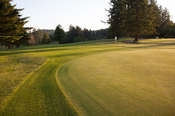 Golf_Course_3602